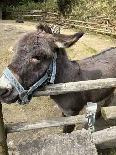 神勝寺(広島県)