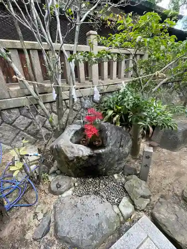 彦島八幡宮(山口県)