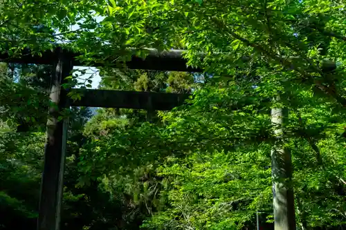 大元神社（厳島神社境外摂社）(広島県)