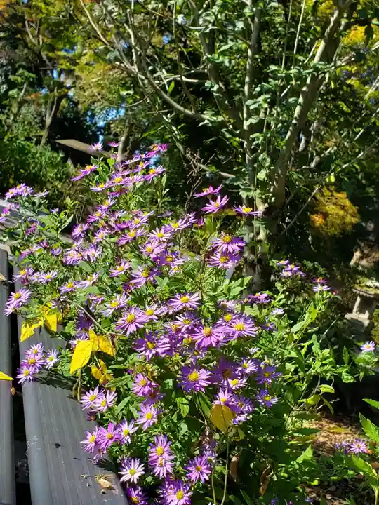 石都々古和気神社(福島県)