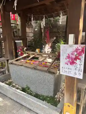 東京大神宮(東京都)