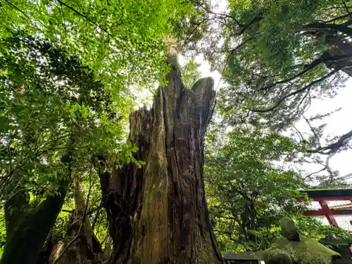 天神社(奈良県)