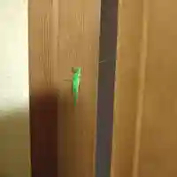 石内のお大師さん 金剛院の動物