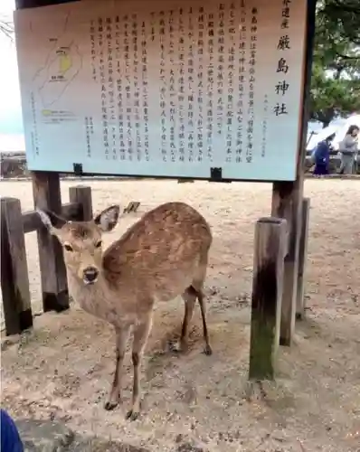 厳島神社の歴史