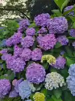 本光寺(愛知県)