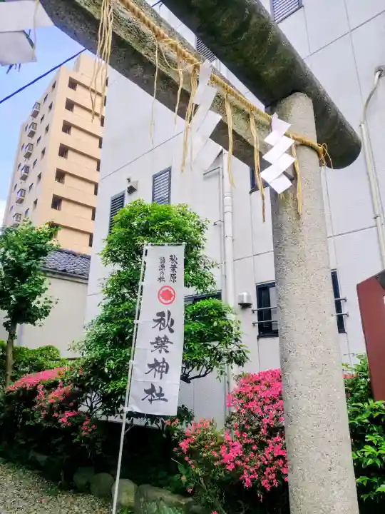 秋葉神社の{uncategorized: "未分類", other: "その他", undefined: "問題あり", building: "その他建物", grave: "お墓", sacred_gate: "鳥居", guardian: "狛犬", statue: "像", buddha: "仏像", history: "歴史", nature: "自然", garden: "庭園", animal: "動物", pagoda: "塔", temizu: "手水舎", mountain_gate: "山門・神門", sanctuary: "本殿・本堂", subordinate: "末社・摂社", art: "芸術", scenery: "景色", jizo: "地蔵", ema: "絵馬", goshuin: "御朱印", omikuji: "おみくじ", items: "授与品その他", amulet: "お守り", goshuincho: "御朱印帳", eats: "食事", festival: "お祭り", votive_dance: "神楽", shichigosan: "七五三参", wedding: "結婚式", experience: "体験その他", initially: "初詣", around: "周辺", anti_infection: "感染症対策"}