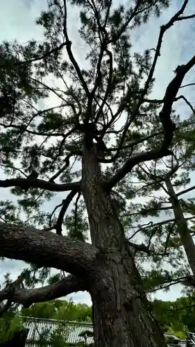 法隆寺(奈良県)