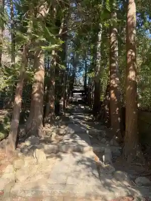 正統院の{uncategorized: "未分類", other: "その他", undefined: "問題あり", building: "その他建物", grave: "お墓", sacred_gate: "鳥居", guardian: "狛犬", statue: "像", buddha: "仏像", history: "歴史", nature: "自然", garden: "庭園", animal: "動物", pagoda: "塔", temizu: "手水舎", mountain_gate: "山門・神門", sanctuary: "本殿・本堂", subordinate: "末社・摂社", art: "芸術", scenery: "景色", jizo: "地蔵", ema: "絵馬", goshuin: "御朱印", omikuji: "おみくじ", items: "授与品その他", amulet: "お守り", goshuincho: "御朱印帳", eats: "食事", festival: "お祭り", votive_dance: "神楽", shichigosan: "七五三参", wedding: "結婚式", experience: "体験その他", initially: "初詣", around: "周辺", anti_infection: "感染症対策"}