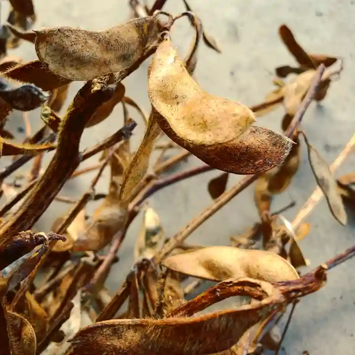 滑川神社 - 仕事と子どもの守り神のその他建物