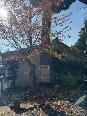 伊奈冨神社(三重県)