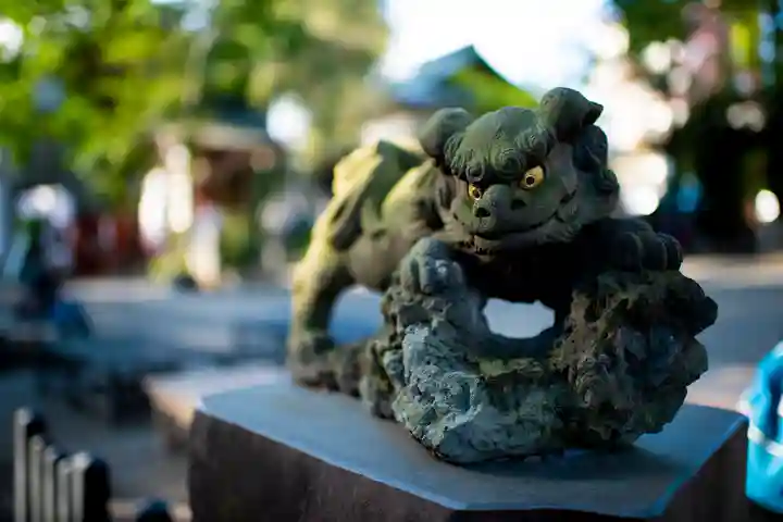 田無神社の狛犬