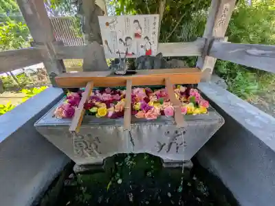 鳩ヶ谷氷川神社の{uncategorized: "未分類", other: "その他", undefined: "問題あり", building: "その他建物", grave: "お墓", sacred_gate: "鳥居", guardian: "狛犬", statue: "像", buddha: "仏像", history: "歴史", nature: "自然", garden: "庭園", animal: "動物", pagoda: "塔", temizu: "手水舎", mountain_gate: "山門・神門", sanctuary: "本殿・本堂", subordinate: "末社・摂社", art: "芸術", scenery: "景色", jizo: "地蔵", ema: "絵馬", goshuin: "御朱印", omikuji: "おみくじ", items: "授与品その他", amulet: "お守り", goshuincho: "御朱印帳", eats: "食事", festival: "お祭り", votive_dance: "神楽", shichigosan: "七五三参", wedding: "結婚式", experience: "体験その他", initially: "初詣", around: "周辺", anti_infection: "感染症対策"}