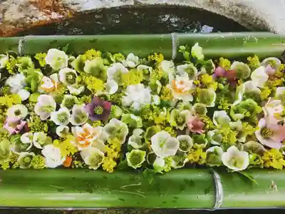 立志神社の手水舎