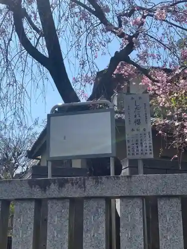 東村山八坂神社(東京都)