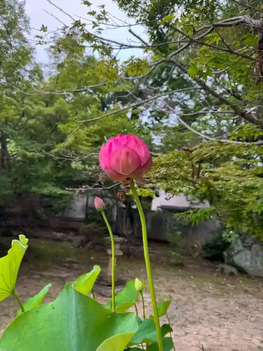 伊勢の国 四天王寺(三重県)