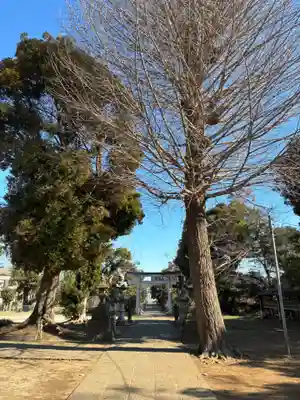 八幡神社(千葉県)