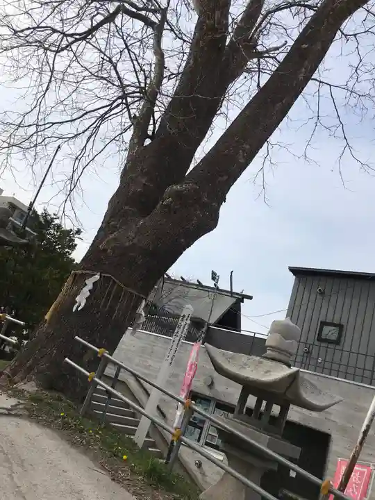 龍宮神社(北海道)