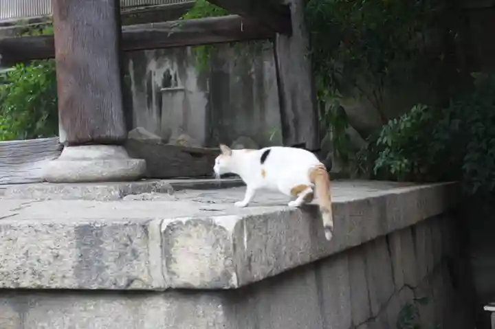 行願寺(革堂)(京都府)