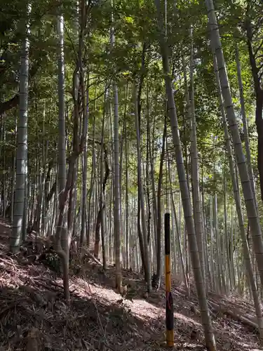 大徳院(岐阜県)