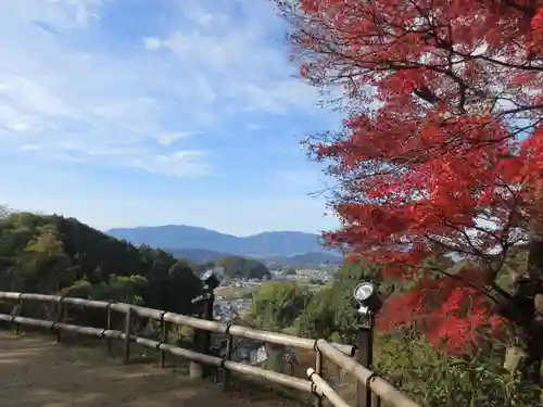岡寺（龍蓋寺）(奈良県)