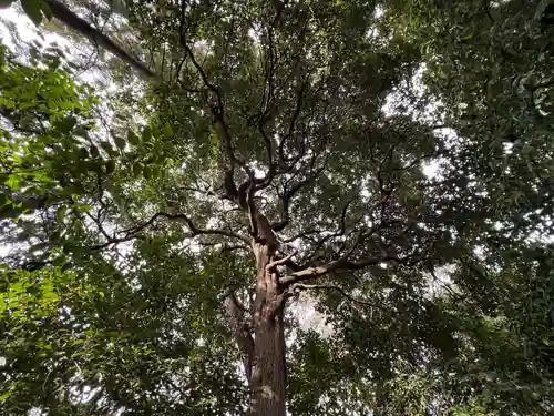 進雄神社(群馬県)