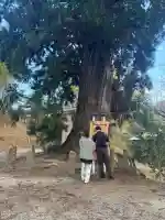 春日神社(福島県)