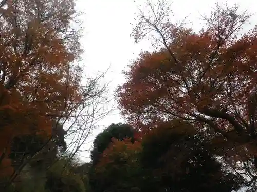 東勝寺跡の自然