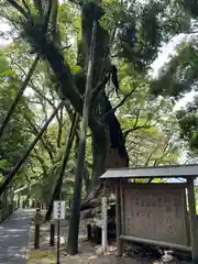 都萬神社(宮崎県)