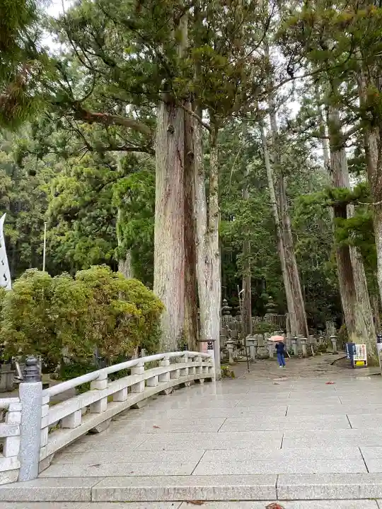 高野山金剛峯寺奥の院(和歌山県)