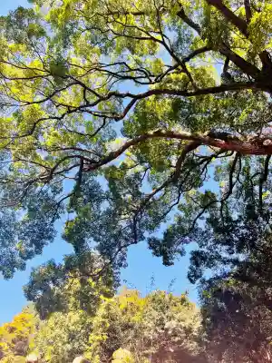 夫婦大國社(春日大社末社)(奈良県)