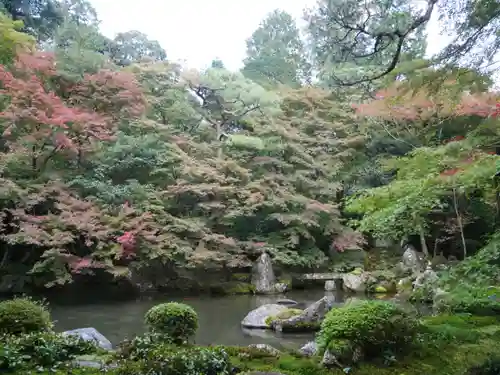 蓮華寺（洛北蓮華寺）の庭園