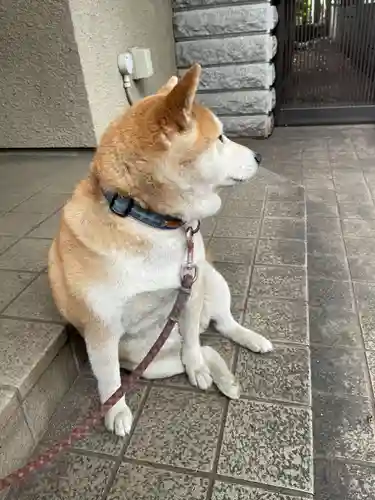 笠䅣稲荷神社(神奈川県)