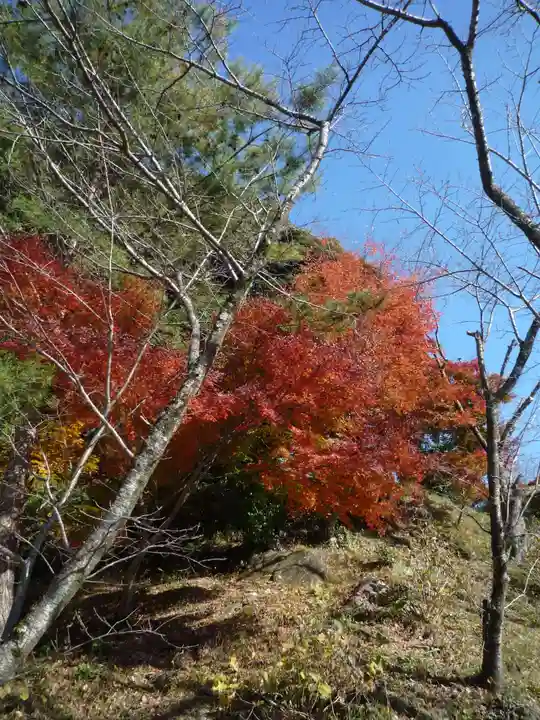 楽法寺(雨引観音)の自然