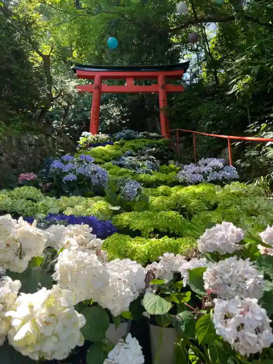 柳谷観音 楊谷寺(京都府)