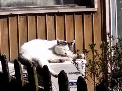 阿邪訶根神社(福島県)