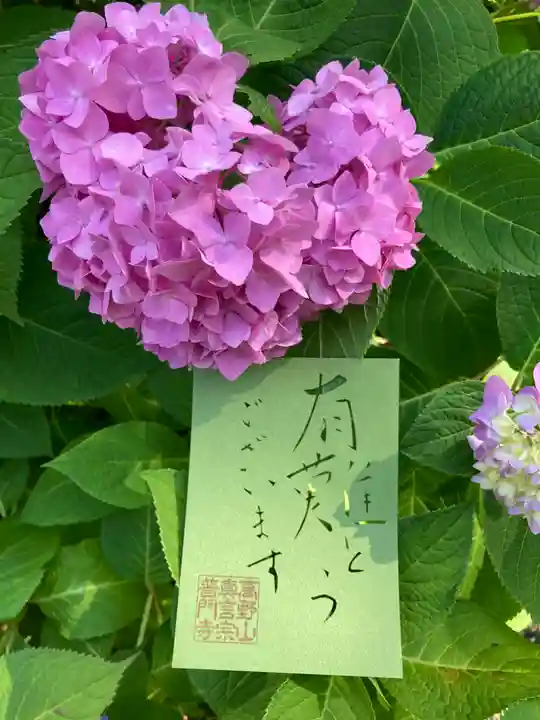 普門寺(切り絵御朱印発祥の寺)のその他建物