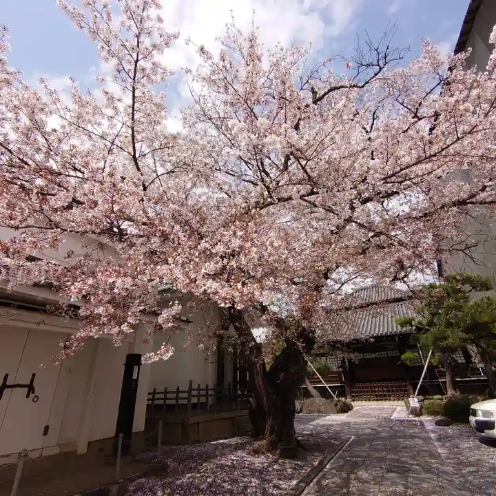 正寿院(京都府)