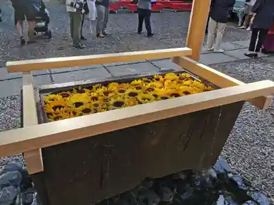 上目黒氷川神社の手水舎