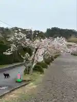 安房神社(千葉県)