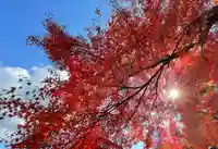 永源寺(茨城県)