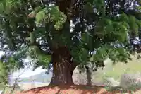 岩上神社の周辺