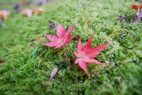 大寧寺(山口県)