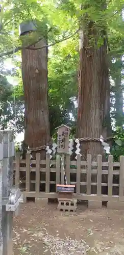 鹿嶋神社(茨城県)