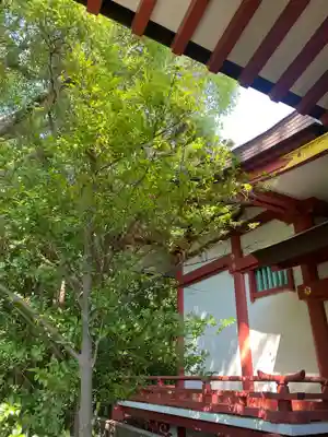 稲毛浅間神社(千葉県)