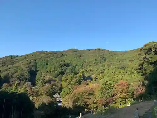 普門寺(切り絵御朱印発祥の寺)の景色