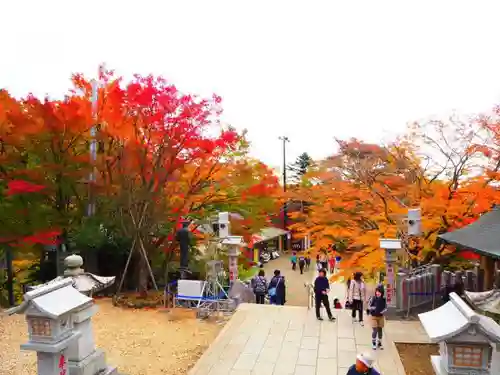 大山阿夫利神社の自然