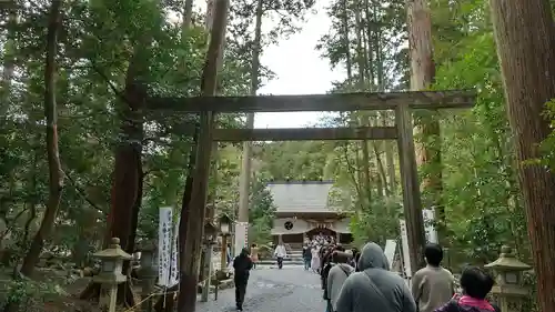 椿大神社の鳥居