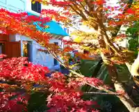 寿量山 速成寺の自然