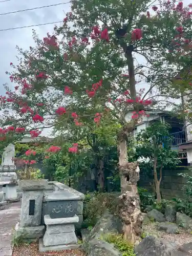 惣善寺(福島県)