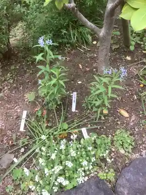 日蓮宗瑞光山久遠寺の庭園